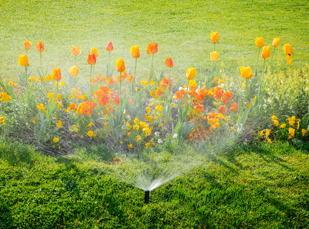 Lawn Sprinkler System Contractors